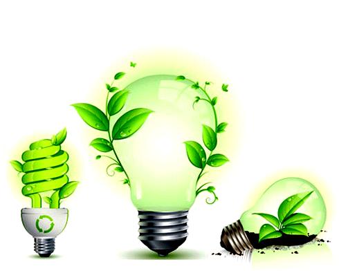 Bagaimana Sekitar Membentuk Pengalaman Tubuh dan Pikiran